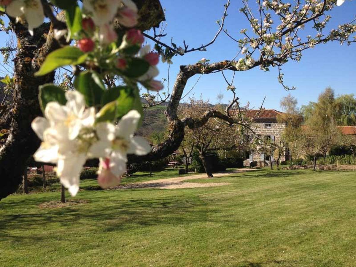 Tapon安娜花园住宿加早餐旅馆住宿加早餐旅馆 外观 照片